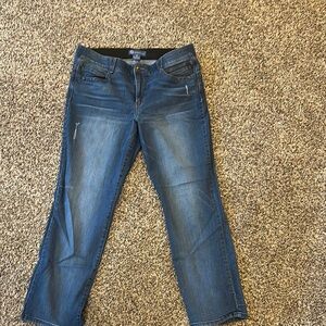 Democracy Blue Straight Leg Jeans Classic Style